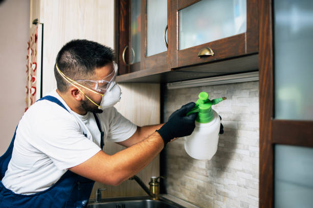 Trusted Deltona, FL Pest Control Experts