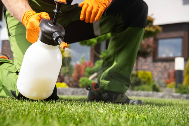 Best Best Pest Control Companies  in Deltona, FL