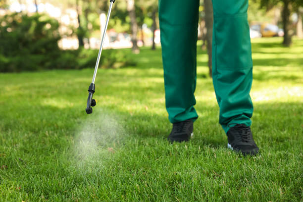 Bird Control in Deltona, FL