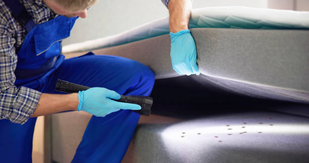 Best Pest Removal Services  in Deltona, FL