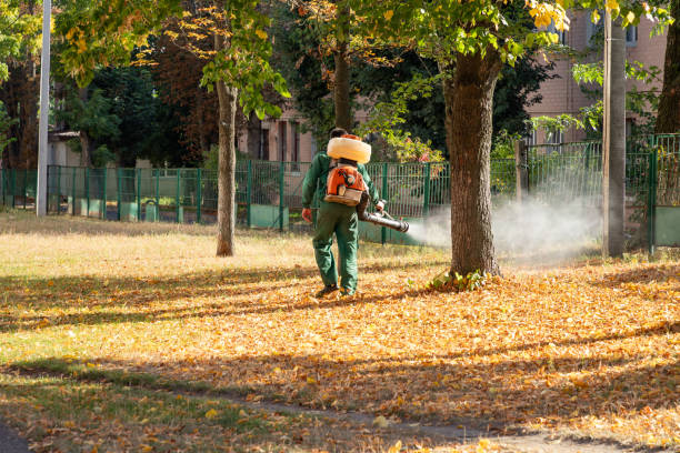 Best Wasp Removal Services  in Deltona, FL