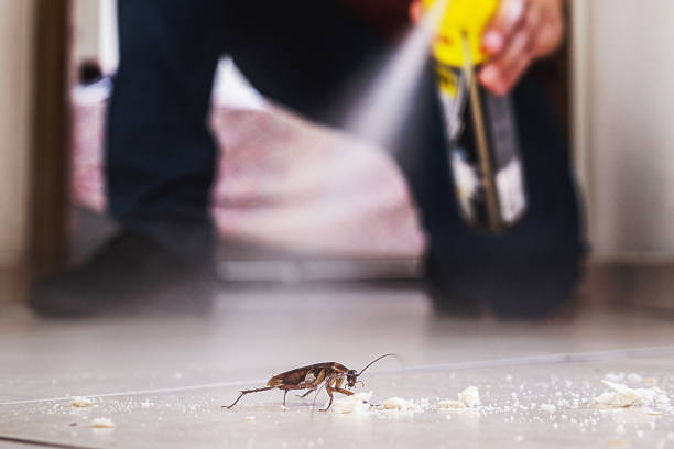 Best Ant Control Services  in Deltona, FL