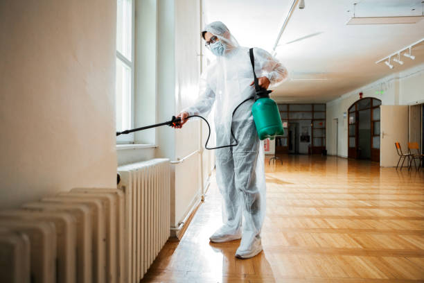 Wasp Removal Services in Deltona, FL