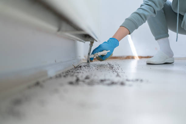 Best Pest Prevention Services  in Deltona, FL