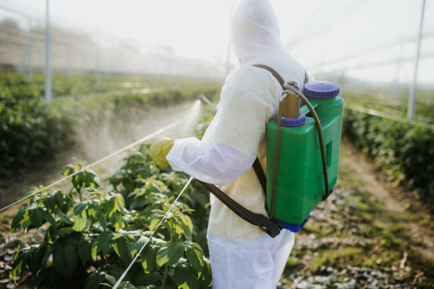 Best Local Pest Control Services  in Deltona, FL